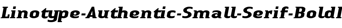 LTAuthenticSmallSerif Bold Italic.ttf