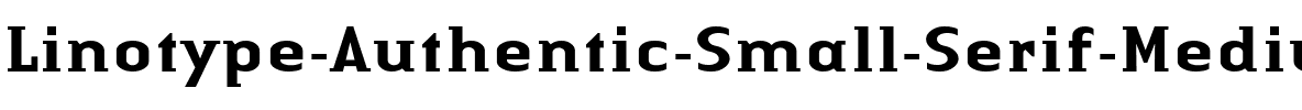 LTAuthenticSmallSerif Medium Regular.ttf