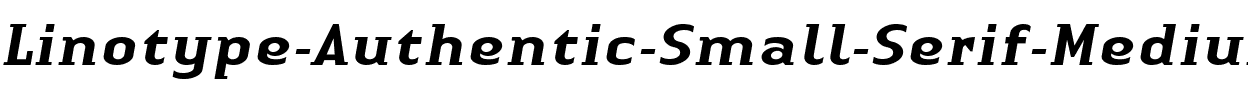 LTAuthenticSmallSerif Medium Italic.ttf