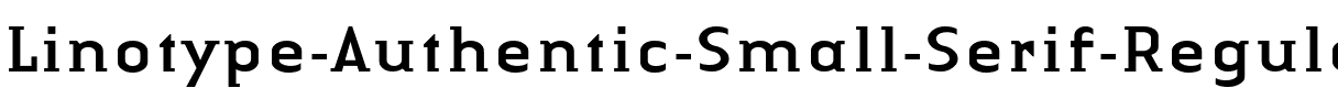 LTAuthenticSmallSerif Regular.ttf