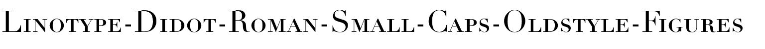 Linotype Didot Regular.ttf