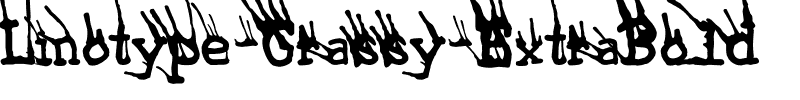 LTGrassy ExtraBold Regular.ttf