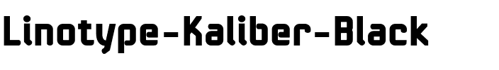 LTKaliber Black Regular.ttf