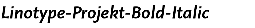 LTProjekt Bold Italic.ttf