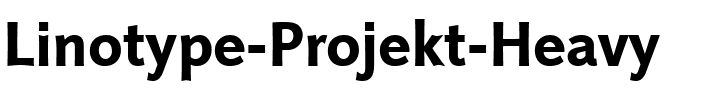 LTProjekt Heavy Regular.ttf