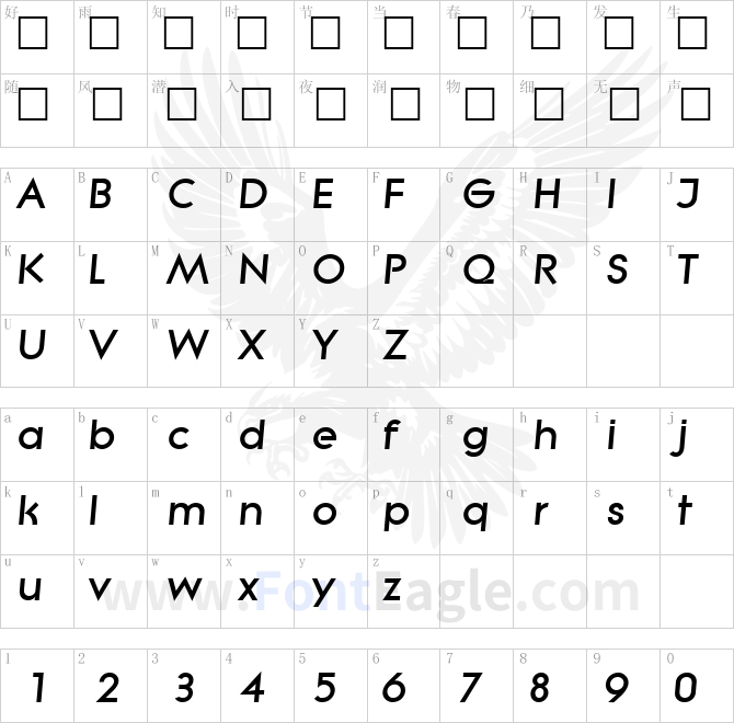 Litera-Bold-Italic
