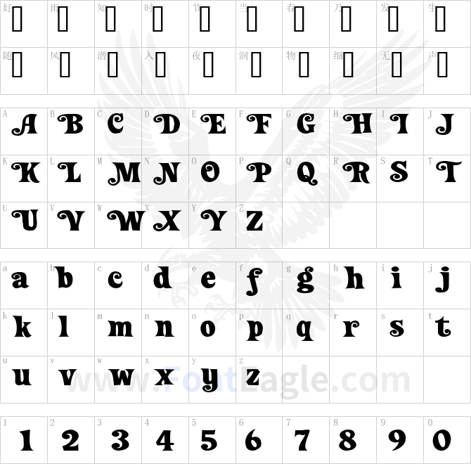Loose-New-Roman-Wide-Swash