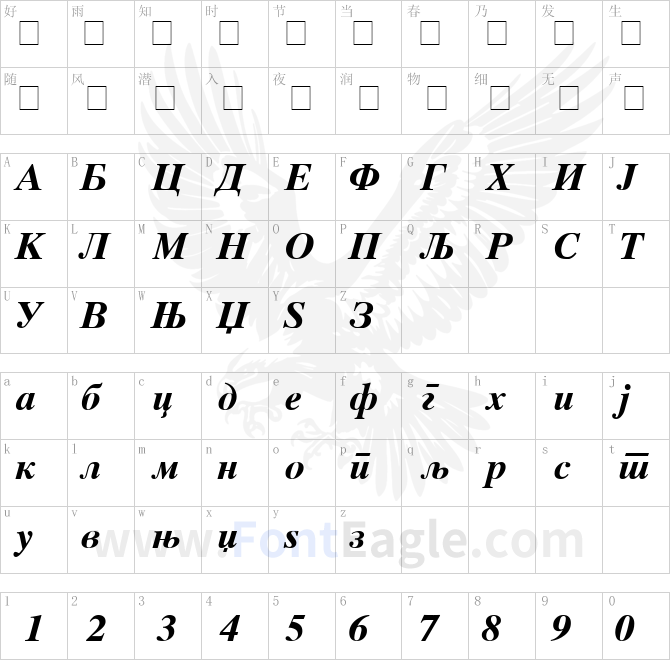 MAC-C-Times-Bold-Italic