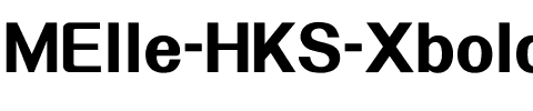 MElle HKS Xbold Regular.ttf