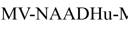 MV NAADHu MAA Regular.ttf