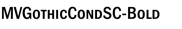 MVGothicCondSC Bold.ttf