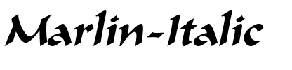Marlin Italic.ttf