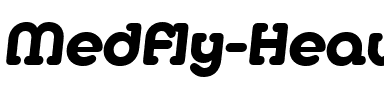 Medfly Heavy Regular.ttf