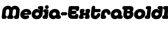 Media-ExtraBoldIta Regular.ttf