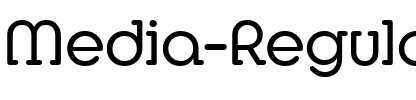 Media-Regular Regular.ttf