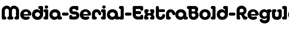 Media-Serial-ExtraBold Regular.ttf