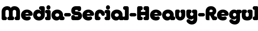 Media-Serial-Heavy Regular.ttf
