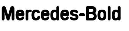Mercedes-Bold Regular.ttf