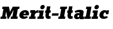 Merit Italic.ttf