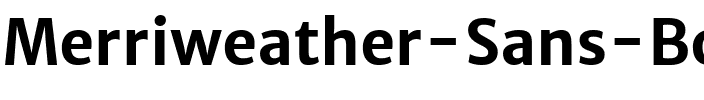 Merriweather Sans Bold.ttf