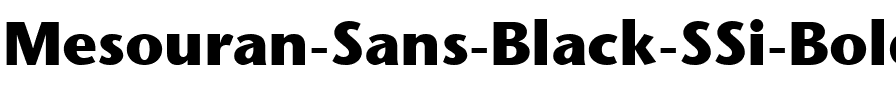 Mesouran Sans Black SSi Bold.ttf