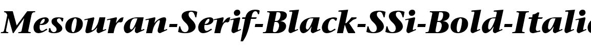 Mesouran Serif Black SSi Bold Italic.ttf