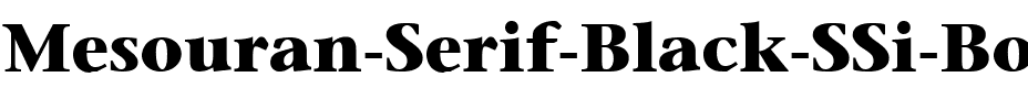 Mesouran Serif Black SSi Bold.ttf