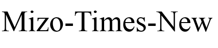 Mizo Times New Normal.ttf