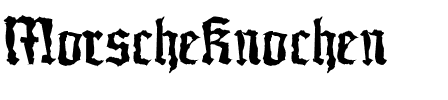 MorscheKnochen Heavy.ttf