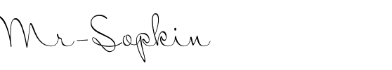 Mr Sopkin Regular.ttf