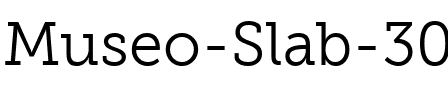 Museo Slab 300.ttf