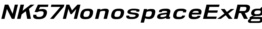 NK57 Monospace Ex Rg Bold Italic.ttf