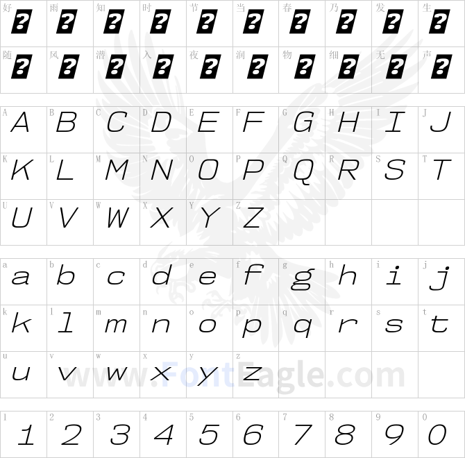 NK57MonospaceSeLt-Italic