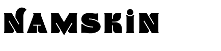 Namskin Medium.otf