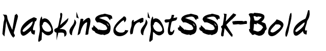 NapkinScriptSSK Bold.ttf