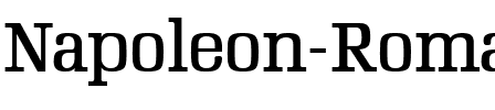 Napoleon Roman Regular.ttf