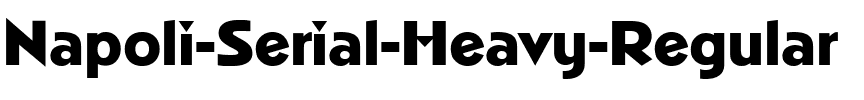 Napoli-Serial-Heavy Regular.ttf