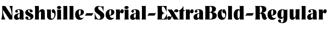 Nashville-Serial-ExtraBold Regular.ttf