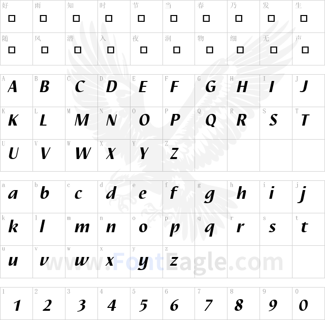 Nautilus-LT-Black-Italic