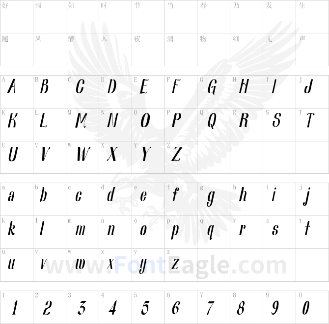 Nearly-Dignified-Light-Italic