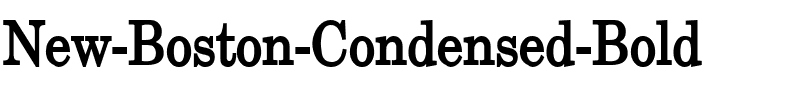 New Boston Condensed Bold.ttf
