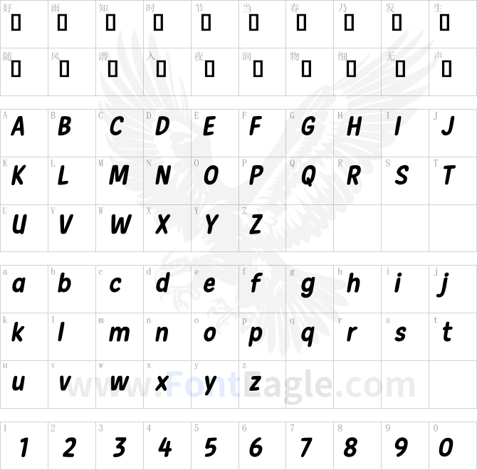 New-Era-Casual-Bold-Italic