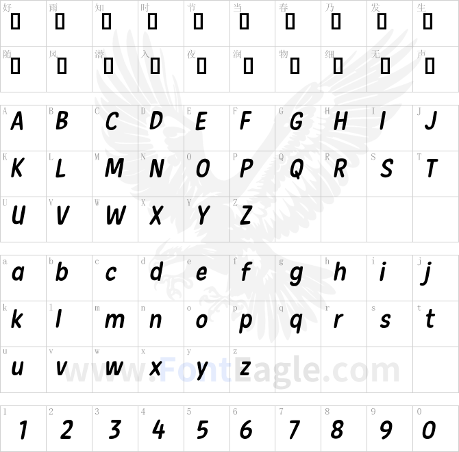 New-Era-Casual-Italic