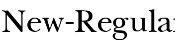 New Regular.ttf