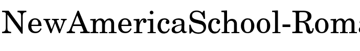 NewAmericaSchool-Roman Regular.ttf