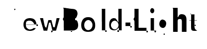 NewBold-Light Regular.ttf