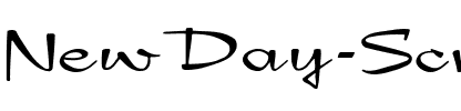 NewDay Script.ttf