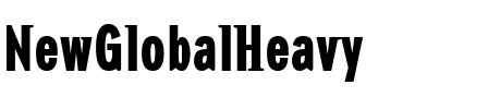 NewGlobalHeavy Regular.ttf