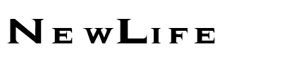 NewLife  .ttf