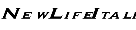 NewLifeItalics .ttf
